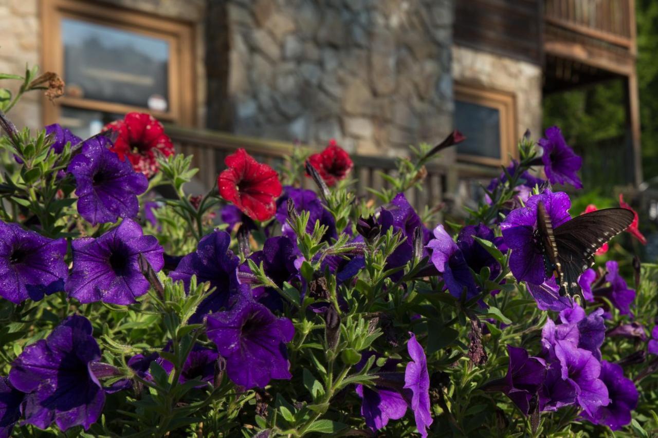 Villa Springmaid Mountain Spruce Pine Esterno foto